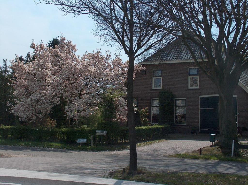 Molenvoort Bed & Breakfast Wachtum Exterior photo
