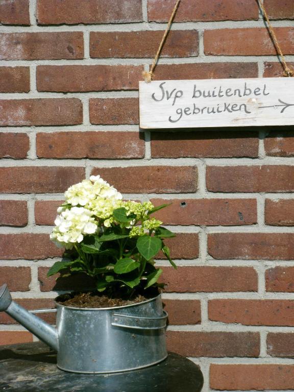Molenvoort Bed & Breakfast Wachtum Exterior photo